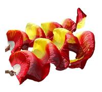 GZXXB Abanicos Largos de Seda 1 Ventilador Derecho + Izquierdo, de Seda Uso Apto para Danza del Vientre(16,180cm-90cm)