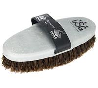 H.A.S Haas Mould Horse Brush - Cepillo (tamaño grande, 200 x 85 cm), color plateado