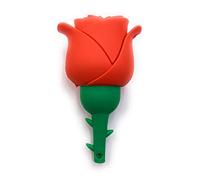 H-Customs Red Rose Flower of Love USB Flash Drive 16 GB USB 3.0