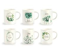 H&H Juego 6 tazas café porcelana botanic sin plato cc90