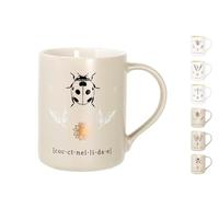H&H Set 6 Mug Botanicum In Nw Bone China Cc 415