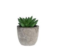 H&H Set 9 Piantine Artificiali In Plastica Assortite Cm6