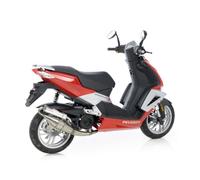 H.M.TT PEUGEOT JET FORCE 50 TDSI/C.TECH 50 (liquid cooled) i.e./LUDIX BLASTER 50 (liq.col.)/SPEEDFIGHT 3 50 (liq.col.)