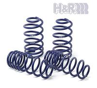 H&R 28677-2 - Muelles para bajar la suspensión Focus Sedan 2WD a partir de 971 kg AV-Charge 2018-AV25/AR25 mm