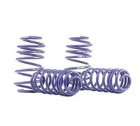 H&R - 29261-1 Muelle Progresivo Baja La Carroceria Del Coche