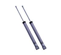 H&R Amortiguadores Deportivos 2x Traseros Eje Trasero Rebound 30mm