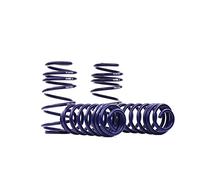 H&R HR 292742 muelles