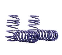 H&R RH 29261-2 muelles