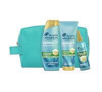 H&S DermaXPro Hidratante. Champú Anticaspa 300ml + Acondicionador 220ml + Tratamiento 145ml, con Extracto de Aloe Vera