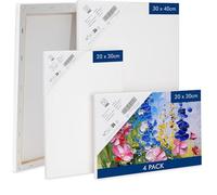 H&S Lienzos en Blanco para Pintar Acrilico y Óleo - Set de 4 - Lienzo Tela Blanca de Algodón en un Robusto Marco de Madera de Pino - Dos Marcos de 20x30cm y 30x40cm c/u