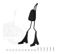 H-YEEU Respaldo Sissy Bar Pasajero Respaldo Moto Trasero Respaldo Desmontable Ajuste para Harley Davidson Harley Sportster XLH883 XL883R XL883C XLH1200 Negro