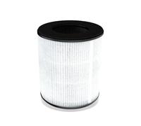 H13 True Replament Filter,Compatible For Cool-LivingCL-6070A,Compatible For Tredy，TD-1300 Air Filter Smoke Removal Deization Assembly(1pcs)