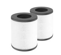 H13 True Replament Filter,Compatible For Cool-LivingCL-6070A,Compatible For Tredy，TD-1300 Air Filter Smoke Removal Deization Assembly(2PCS)