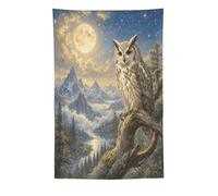 H3B8U2Y5 Nevado Buho bajo Luna Tapiz de Pared, Fantasia, Dormitorio