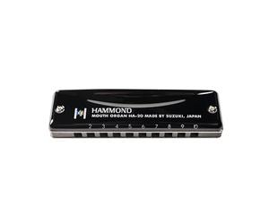 HA20Bb Hammond Suzuki Armónica en Sib 10 Agujeros Negros