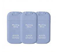HAAN Spray hidratante para manos con aloe vera (pack de 3) - 3 unidades por fragancia: Morning Glory