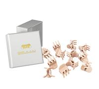 HAARallerliebst® Pinzas para el pelo de orquídeas pequeñas, color beige de 2 cm, en caja, pequeñas pinzas para el pelo, pinzas de plástico para el pelo, pequeñas pinzas para niñas y mujeres (color de