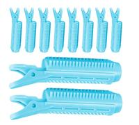 Haarspangen Für Volumen,Volumengebende Haarspangen,10 Stück Kleine Wurzellifting- - Wurzelclipsca. 10 X 3 Cm Lockenwickler Für Haarvolumen, Clips Sofortiges Haarvolumen Frauen