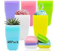 Haawooky Paquete de 48 macetas de plástico Coloridas de 3 Pulgadas, macetas cuadradas de plástico, macetas de vivero con platillos para jardín, hogar, Oficina, decoración de balcón, Regalos de jardín
