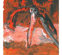 Haber - Of Palm Trees & Decomposition [Vinilo]