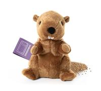 Habibi Cojín de calor para niños y adultos, relleno de mijo, de castor, para calentar en el microondas o en el horno, ideal también para bebés