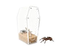 Hábitat acrílico transparente para reptiles - Mantis rezando araña saltarina, jaula de alimañas portátil, transparencia duradera, función de fácil monitoreo para guardianes amantes de la naturaleza