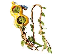 Hábitat de araña Decorativa - Kit de depósito magnético acrílico para Refugio Elevado para arañas Saltando, Ligero de vivario | Tarántula en Reposo y trepador