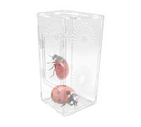 Hábitat de araña saltando | Pequeño hábitat de reptil para Mantis Frog - Transparencia completa Terrario Seguro Mantisas Accesorios para Adultos Niñas Familia Adolescente