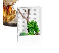Hábitat para Mantis Religiosa De Acrílico Transparente
