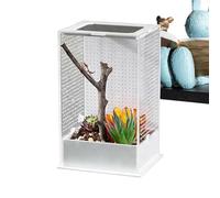 Hábitat para Mantis Religiosa Terrario de Acrílico Transparente para