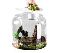 Hábitat transparente de la casa de la tortuga - gran hábitat de tortuga | vivienda de tortuga hábitat, gran caparazón de tortuga para casa con tortuga grande Hábitat Tortuga con abn