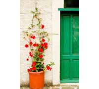 Habits That Wake You Up: Reclaim Your Energy, Focus, and Fire - One Habit at a Time