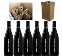 Habla del Silencio - Vino Tinto Extremadura - Crianza de Autor, Syrah, Cabernet Sauvignon y Tempranillo, Barrica de Roble, 14% Alcohol, Pack 6 Botellas 75cl