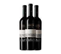 Hacienda Zorita Marqués de la Concordia Syrah Vino de la Tierra de Castilla y León Crianza 75 cl Vino tinto (Caja de 3 Botellas de 75 cl)