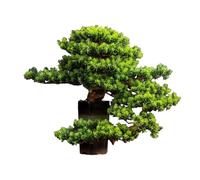 HADECOLL Árbol bonsái Artificial para Interiores, árbol Falso, Planta en Maceta, Adornos, joyería de Escritorio, decoración de Entrada, decoración de árbol de simulación, bonsái Artificial, ár
