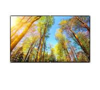 HADECOLL Pantalla de proyección metálica de Alta definición con protección contra la luz para Cine en casa, de 30 a 133 Pulgadas, Pantallas de proyección de Varios tamaños, 72 Pulgadas.