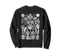 Haeckel Mycetozoa Slime Molds Camiseta de Aspecto Vintage Sudadera