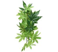 Hagen Exo?Planta?de?Seda?abuliton?peq. XXX