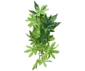 Hagen Exo?Planta?de?Seda?abuliton?peq. XXX