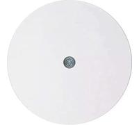 Hager 10192089 - Tapa salida cable rclassic blanco polar brillo