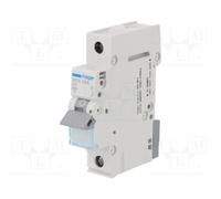 HAGER MCN106E Interruptor magnetotérmico