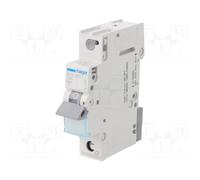 HAGER MCS120 Interruptor magnetotérmico