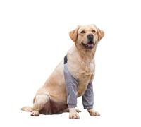 HAGJII Codera para Perro para Protección Extrema contra Callosidades E Higroma Ajustable Rodilleras para Perros para Pierna Delantera Coderas Protector De Codo para Perros(XXL,C)