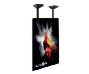 Hagor PLD Single HD Portrait - Soporte de techo de alta resistencia - 75-100" | máx. VESA 900x600 | capacidad de carga 100 kg - retrato