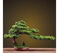 HAGTRB Árboles Artificiales Simulación De Pino Bonsái Falso Adornos Zen De La Suerte Sala De Estar Porche Escritorio Plantas Falsas Decoración con Textura De Loto Maceta Y Rocalla Pino Simulado,Rosso