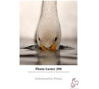 Hahnemühle 10643172 photo luster - papel (260 g/m2, 17', 432 mm x 30