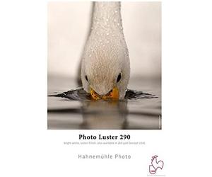 Hahnemühle 10643172 photo luster - papel (260 g/m2, 17', 432 mm x 30