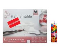 Hahnemühle Expression Cartulina de acuarela, 100% algodón, mate, 300 g/m², 24 x 30 cm, 20 hojas, fabricado en Alemania