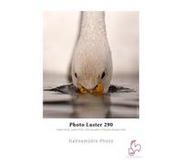 Hahnemühle Photo Luster 290 g/m² - 17 x 30 metros
