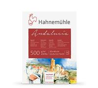 Hahnemuhle: Andalucía Block de 12 Hojas para Acuarelas, 500gsm (235lb) 30x40cm, Rugoso y segunda Carilla NOT (Sin textura)